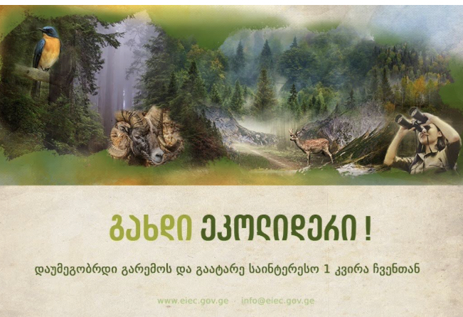 ეკოლიდერთა სკოლა მოსწავლეთა მიღებას აცხადებს