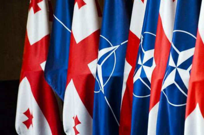 პრეზიდენტი: "საქართველოსთვის თავდაცვის პოლიტიკა ნიშნავს ნატო-ს"
