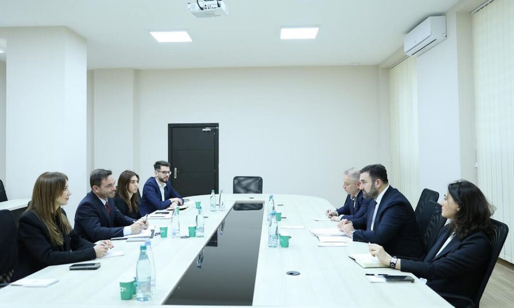 ცენტრალური საარჩევნო კომისიის თავმჯდომარე IRI–ს წარმომადგენლებს შეხვდა