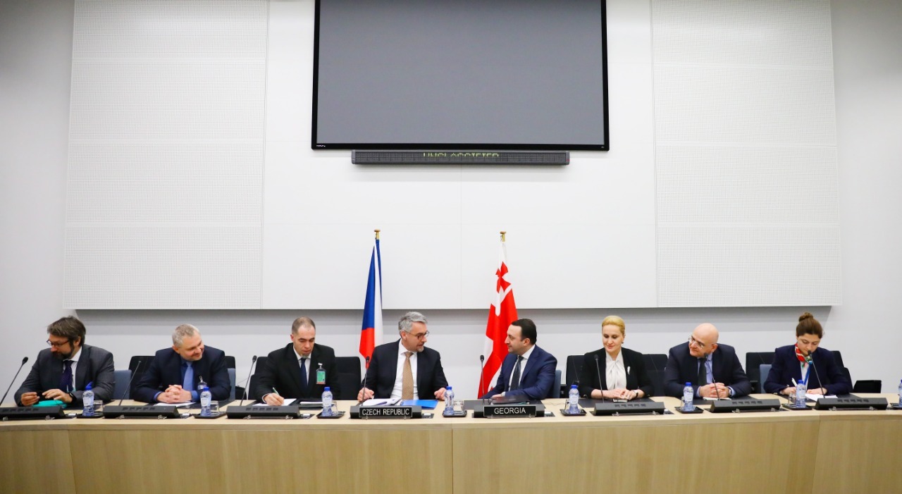 ირაკლი ღარიბაშვილი ბრიუსელში ჩეხ კოლეგას შეხვდა