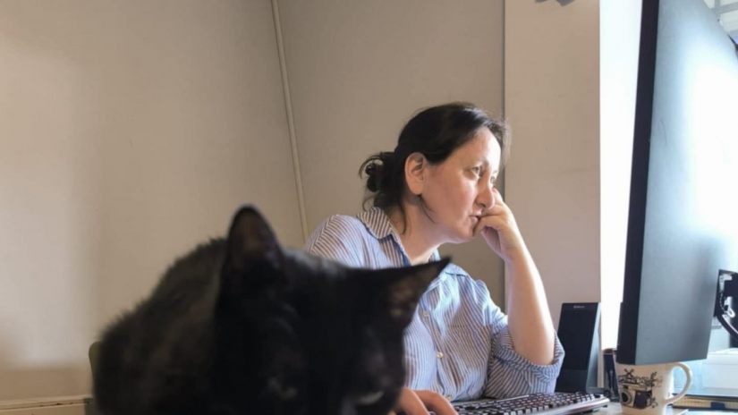 Директору Batumelebi предъявлено обвинение