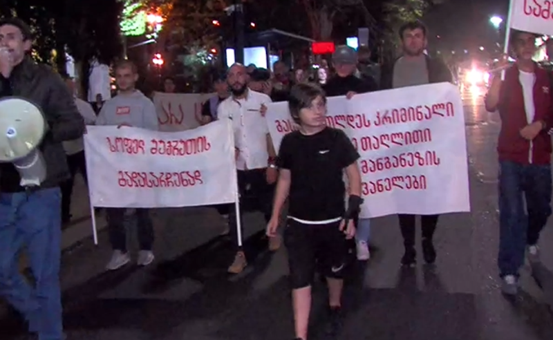 У парламента Грузии прошла акция в поддержку жителей села Шукрути