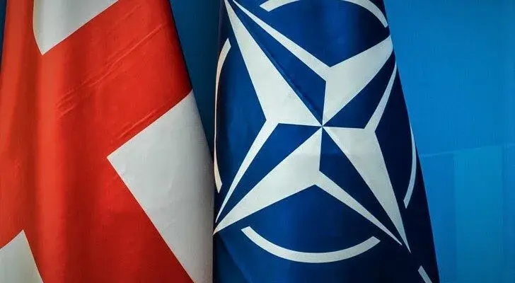НАТО призвало Грузию продолжить демократические реформы
