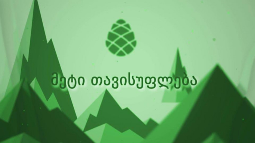 „გირჩს“ ხელისუფლების ჩანაცვლების 2–პუნქტიანი გეგმა აქვს