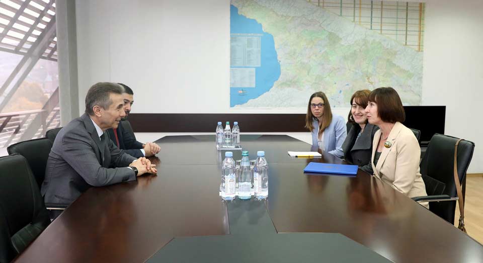 ბიძინა ივანიშვილი ელიზაბეთ რუდს შეხვდა