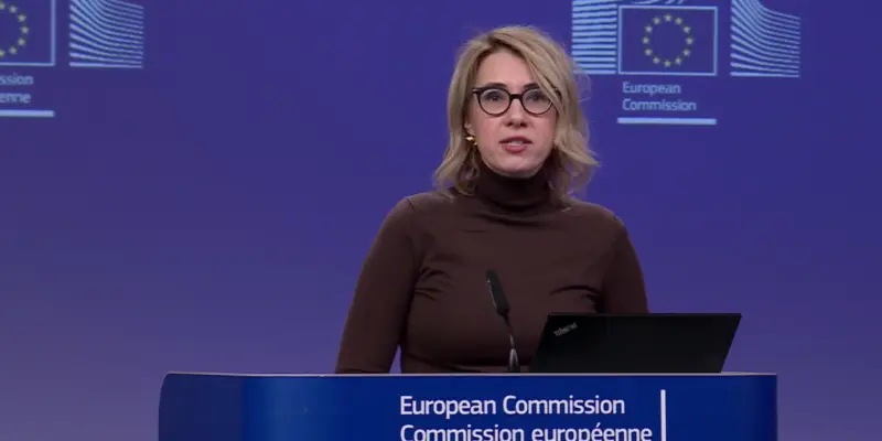 Представитель Еврокомиссии: не видим никаких признаков улучшения ситуации с демократией в Грузии