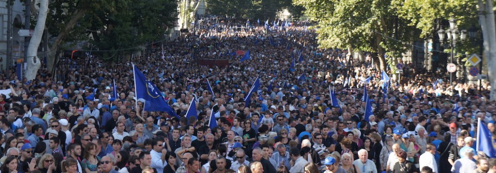 14 დეკემბრის აქცია: 2012 წლის სუროგატი, თუ ნატურალური პროდუქტი?