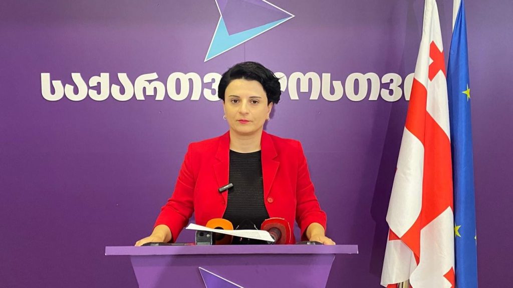 მეზვრიშვილი: "საქართველოსთვის" წევრსა და მამამისზე თავდამსხმელი დააკავეს