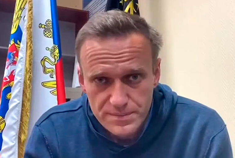 Глава МИД Эстонии выразила готовность предоставить убежище Алексею Навальному