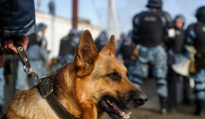 В исправительной колонии во Владикавказе произошел бунт