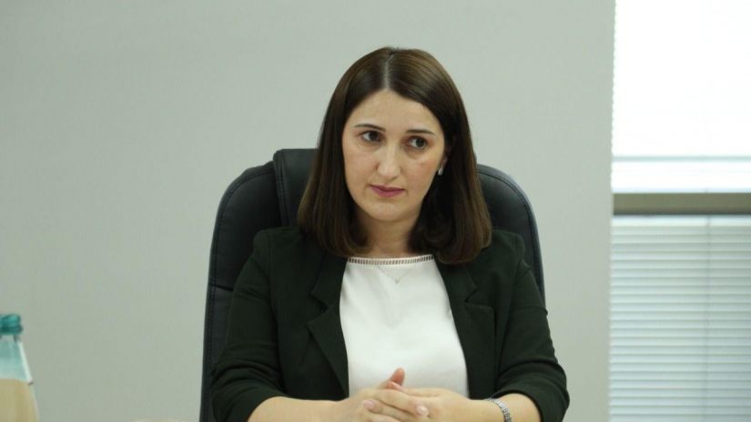 გაეროს ადამიანის უფლებათა ოფისი – სახელმწიფო ინსპექტორზე: "მოვუწოდებთ საქართველოს პარლამენტს, უკან გამოიხმოს ინიციატივა"