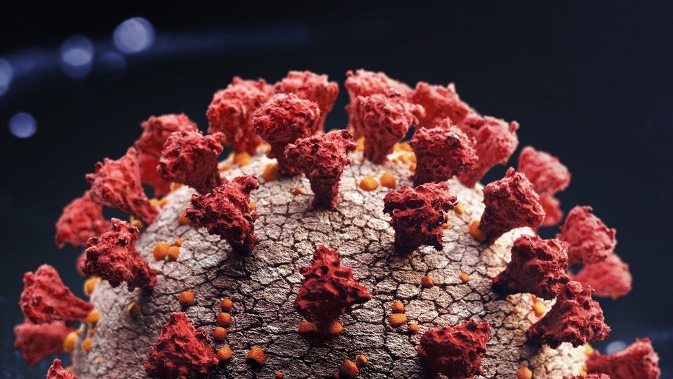 გაერთიანებულ სამეფოში კორონავირუსის ახალი სახეობა აღმოაჩინეს