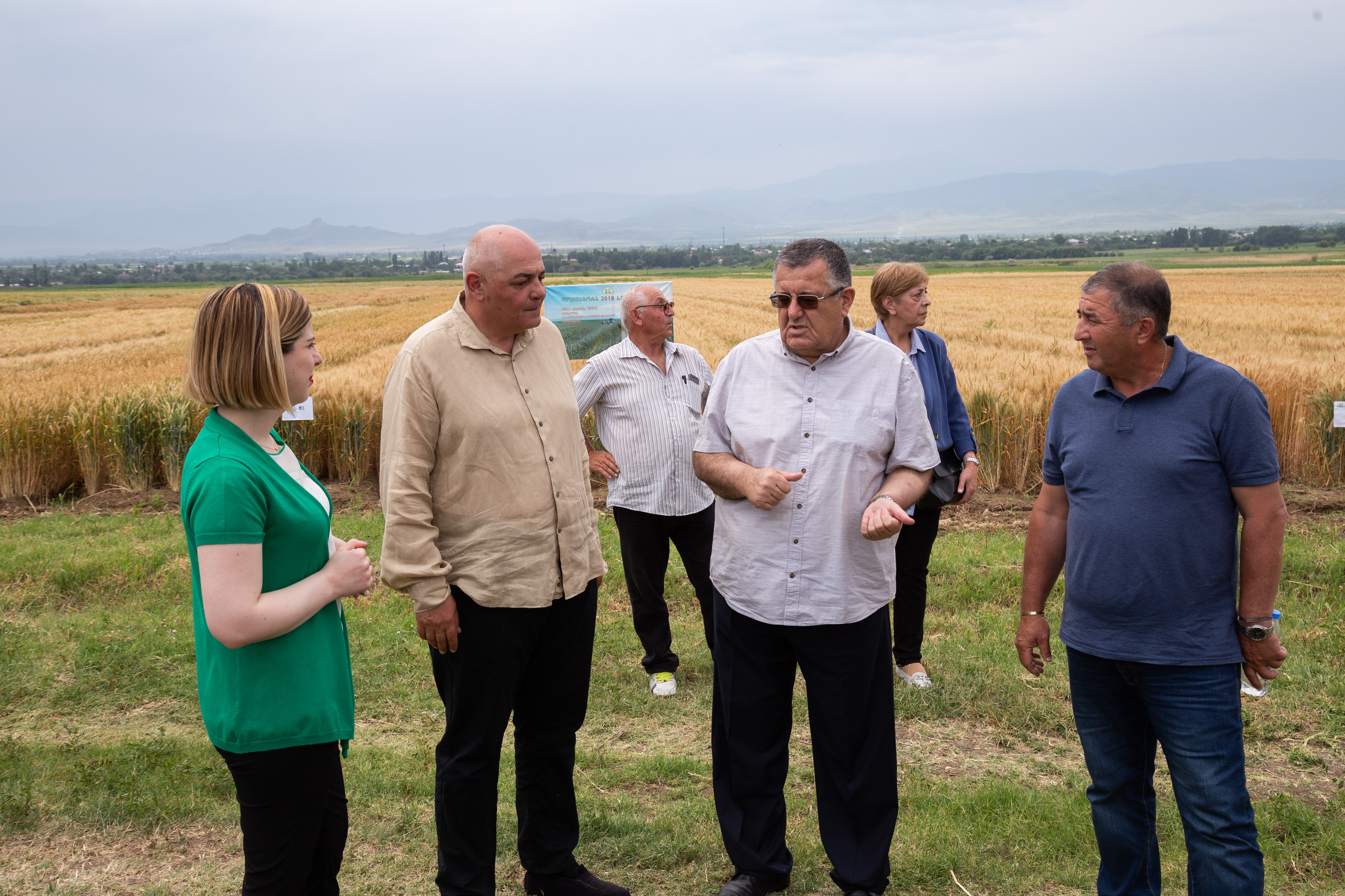 მარნეულში ხორბლის სასელექციო-სადემონსტრაციო ღია კარის დღე გაიმართა