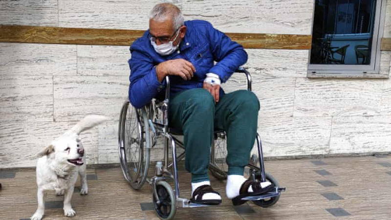 Dog spent days outside Turkish hospital waiting for owner