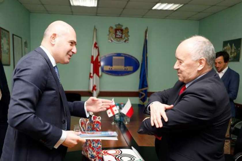 რუსლან აბაშიძე საქართველოში პოლონეთის რესპუბლიკის ელჩს შეხვდა