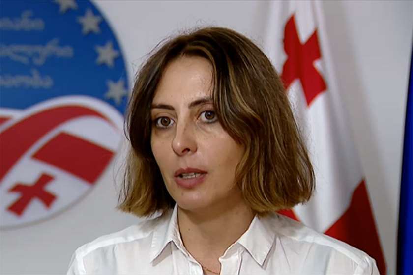 დეკანოიძე– ვაშაძეს: „გენერლები სტრატეგიას ჯარს არ უწუნებენ“