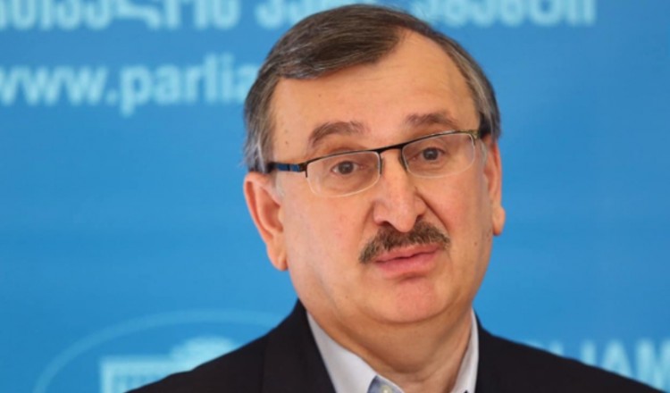 გოცირიძე: „დამხობა ხატოვანი გამოთქმაა“