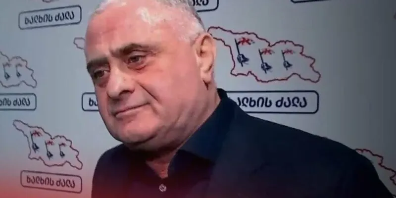 Депутат Джапаридзе: кто заслужит апельсин, в того я и кину его