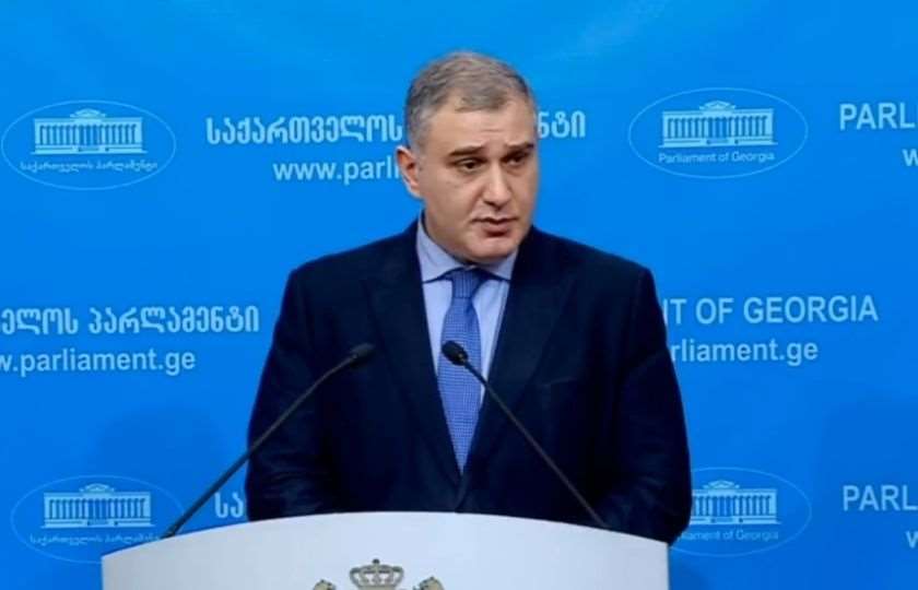 "ევროპის ძალიან ბევრ სახელმწიფოს შეშურდებოდა" – სარჯველაძე კრიტიკას პასუხობს