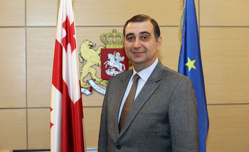 განათლების მინისტრმა ივანიშვილი ექვთიმე თაყაიშვილს შეადარა