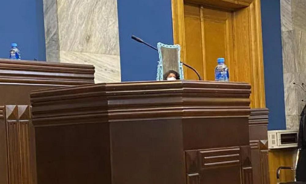 ნაცვლიშვილი „ქართული ოცნების“ დეპუტატების წინაშე პერფორმანსით წარსდგა