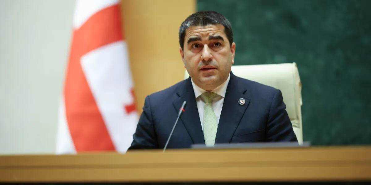 Папуашвили: есть законодательное предложение о запрете ЛГБТ-маршей