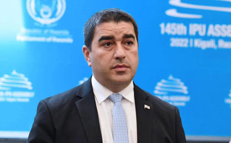 პაპუაშვილი: საქართველო-ევროკავშირის ურთიერთობები პოლიტიკური კონტექსტის მძევლებია