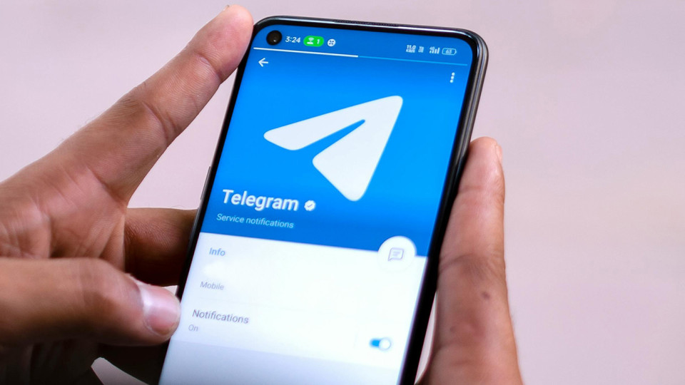Жители Кавказа пожаловались на замедление Telegram из-за постов против Кадырова