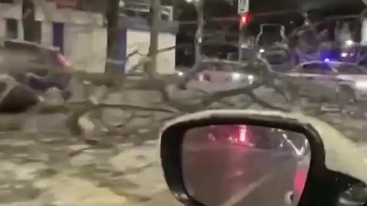 Ураган в Батуми и Сухуми: перебои со светом и поваленные деревья