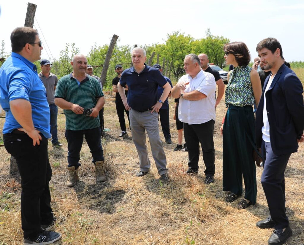 გია ვოლსკი:"მთავარია, სტაბილურობა იყოს, განვითარება სტაბილურობის გარეშე არ არსებობს"