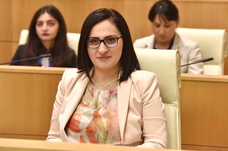 კილაძე – ელჩების განცხადებაზე: "გააცამტვერა "ნაცების" მორიგი სიცრუე"