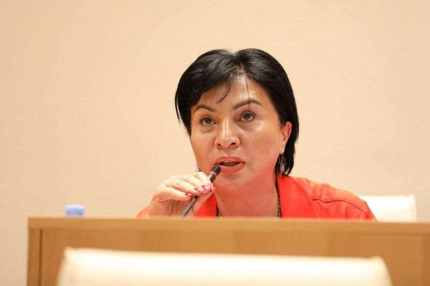Депутат «Мечты»: Бидзина Иванишвили — «патриот века»