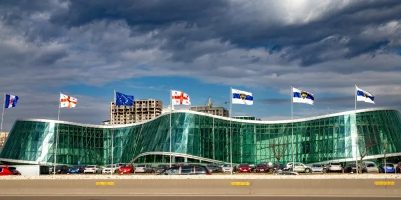 В МВД Грузии объяснили причину обыска в домах активистов группы Daitove