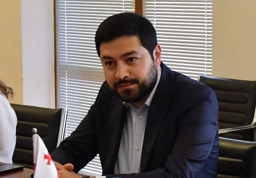 Levan Karumidze on MEP's letter: "those who did it are too far from being friends of Georgia"