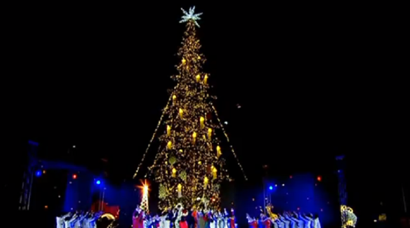 პანდემიის პერიოდში თბილისის მერია საახალწლო ნაძვის ხის ტოტების გადაკეთებასა და ახალი გირლანდის შეძენაში 195 800 ლარის დახარჯვას გეგმავს