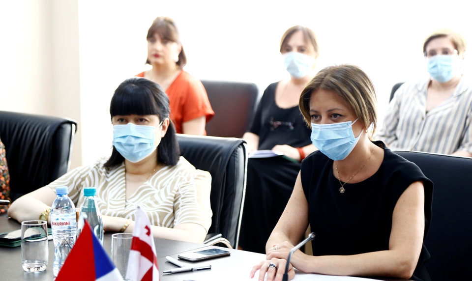 ეკატერინე ტიკარაძემ და ჩეხეთის ელჩმა პირველადი ჯანდაცვისა და სოციალური მიმართულებით დაგეგმილი პროექტები განიხილეს