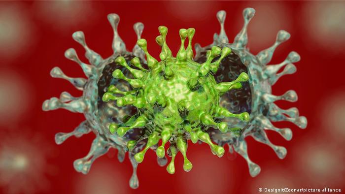 WHO confirms Imnadze-Gamkrelidze's information on Indian Covid-19 variant