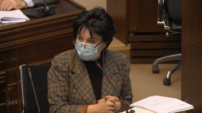 დეპუტატი "ოცნებიდან" მიიჩნევს, რომ ერთ დღეში საქართველოს 36 000-მდე მოქალაქის მიერ გერმანიაში სამუშაოდ წასვლის სურვილის გამოხატვა ტრაგედია არ არის